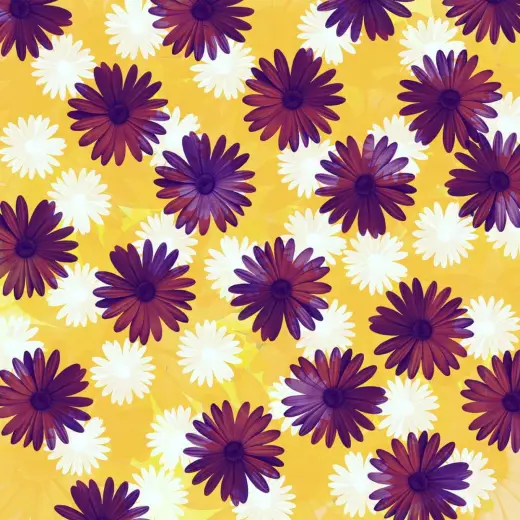Free daisy stamp brush set — Procreate brush