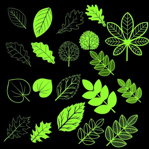 FREE Leaves Brushes for Procreate — Procreate brush