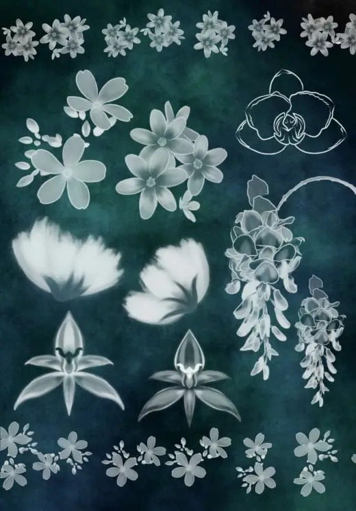 Free Flower Stamp Brushes — Procreate brush