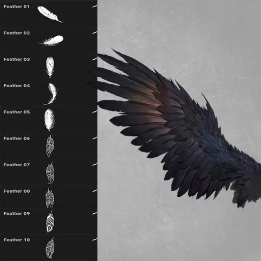 Free Feather Brushes — Procreate brush