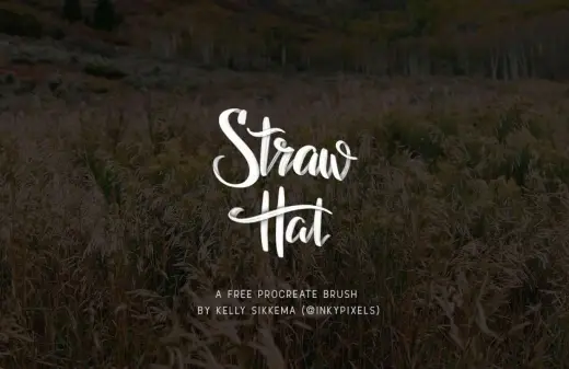 Straw Hat Brush — Procreate brush