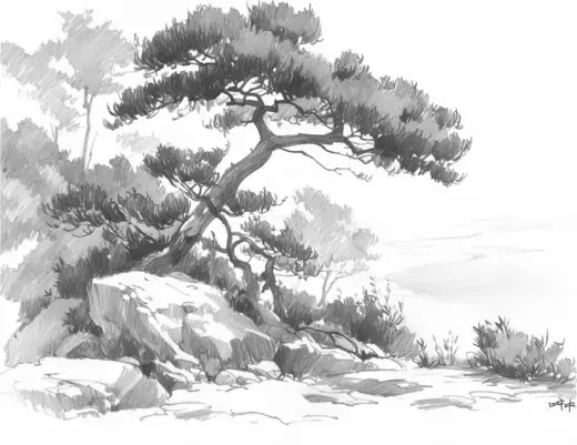 FREE Procreate Brushes: Quiet Nature, 52 Plant Leaf Brushes for Lush Foliage and Nature Art — Procreate brush
