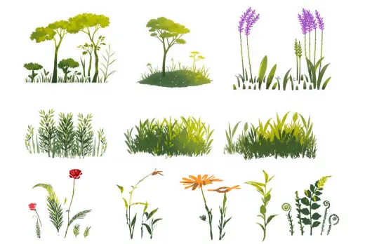 Procreate FREE Nature Sketch Pencil Brushes — Procreate brush