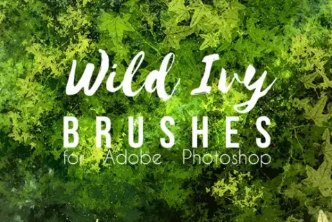 Ivy Brush for Photoshop — Photoshop brush
