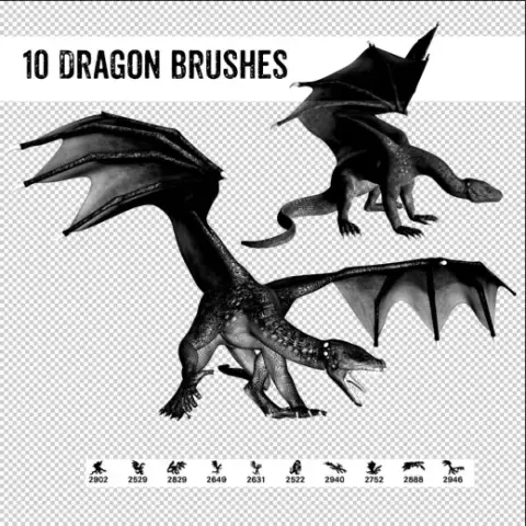 10 Dragon Poses Brushes — Procreate, Photoshop & Krita brush