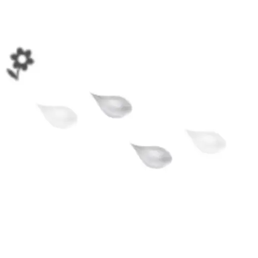 Cottony Ceraiste Flower Petal (Pnceau) — Clip Studio Paint brush