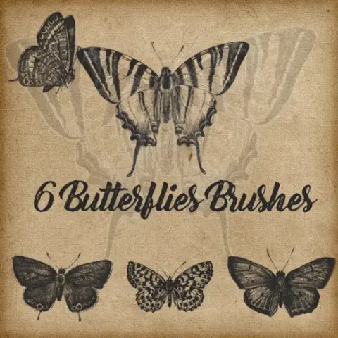 6 Butterflies Brushes — Procreate, Photoshop & Krita brush