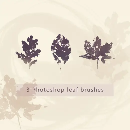 Oak, Beech and Maple Leaves PS Brushes — Procreate, Photoshop & Krita brush