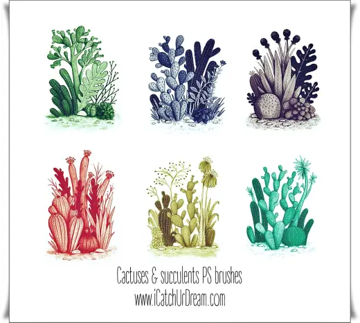 Cactuses Free Brushes — Procreate, Photoshop & Krita brush