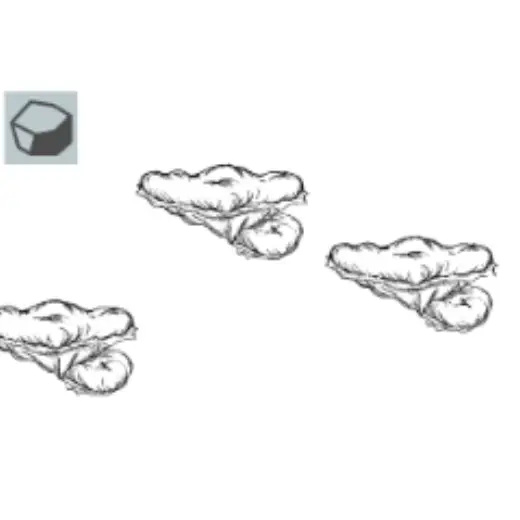 Oyster Mushroom Brush — Clip Studio Paint brush