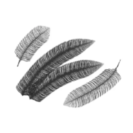 Feather Brush — Clip Studio Paint brush
