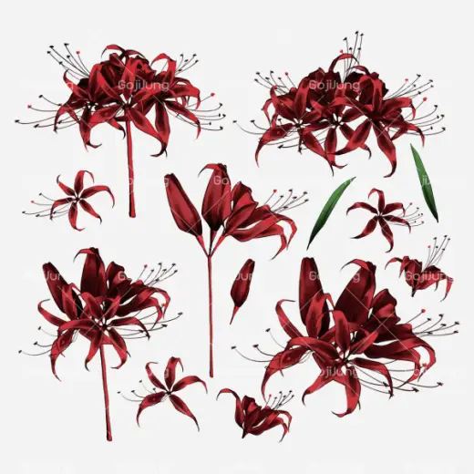 Higanbana by GojiJung158 — Procreate & Clip Studio Paint brush