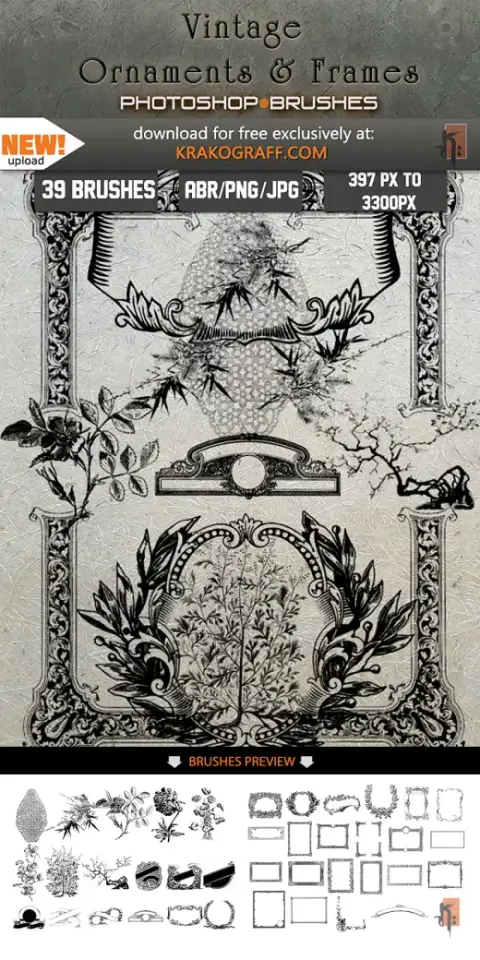Vintage Ornaments & Frames — Procreate, Photoshop & Krita brush