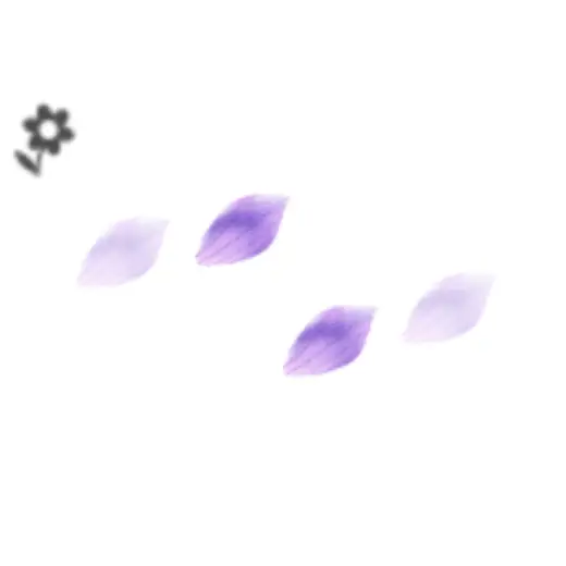 Flower Bellflower Petal (Brush) — Clip Studio Paint brush