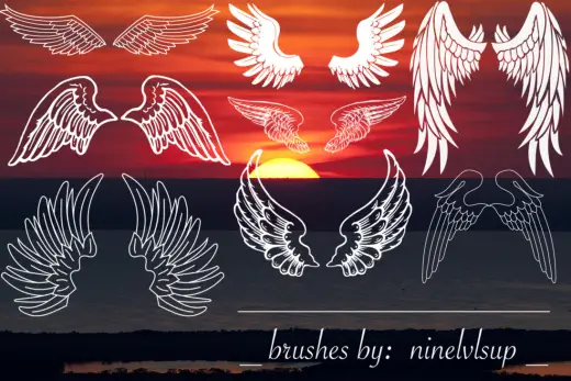 Eight Wings Brushes — Procreate, Photoshop & Krita brush