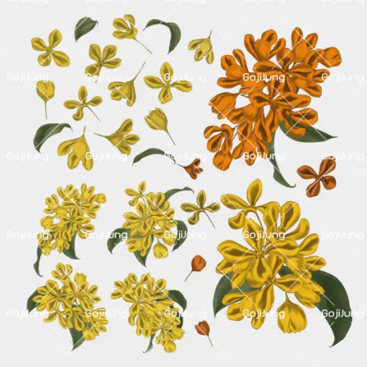 Osmanthus brushes+psd by GojiJung158 — Procreate & Clip Studio Paint brush
