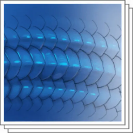 Scales Brush Set — Clip Studio Paint brush