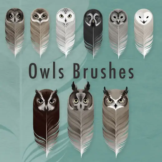 9 Owls Brushes — Procreate, Photoshop & Krita brush