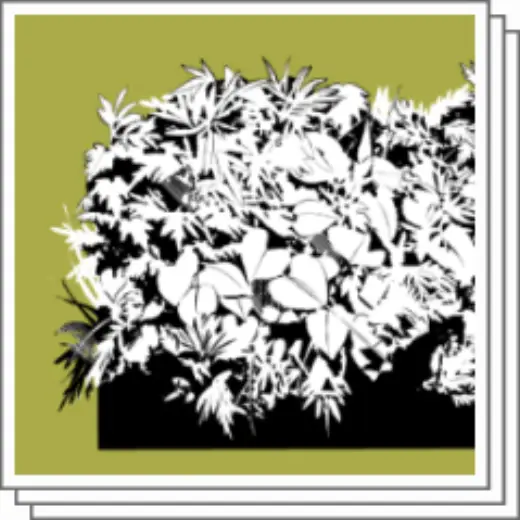 Weeds Around Material Collection — Clip Studio Paint brush