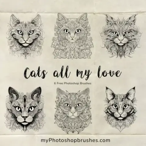 6 Cat Brushes — Procreate, Photoshop & Krita brush