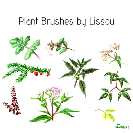 Plants and Flowers — Procreate, Photoshop & Krita brush