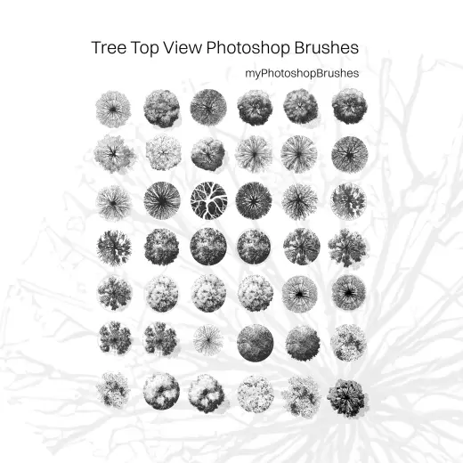 Tree Top View Photoshop Brushes — Procreate, Photoshop & Krita brush