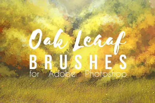 Oak Tree Leaves Photoshop Brush — Photoshop brush