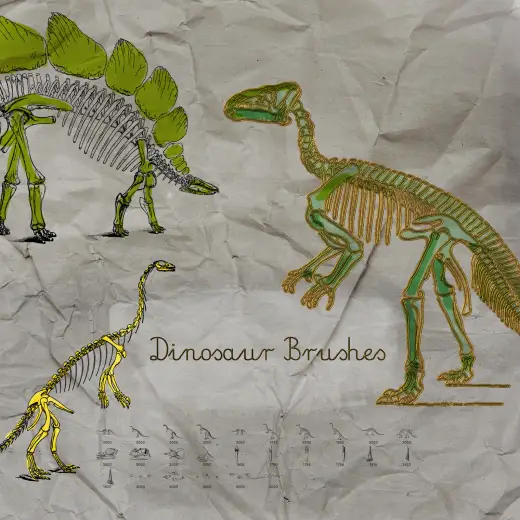 Dinosaur Bones and Skeletons free Brushes — Procreate, Photoshop & Krita brush
