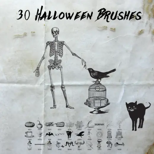 30 Free Halloween Brushes — Procreate, Photoshop & Krita brush