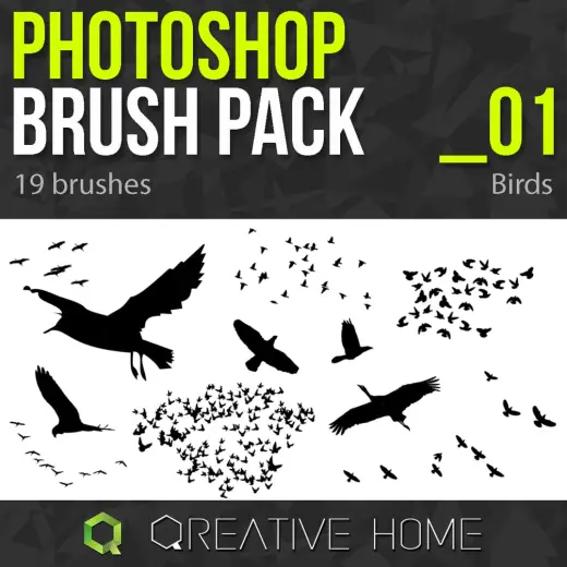 FREE Photoshop Brushes - Birds — Photoshop brush