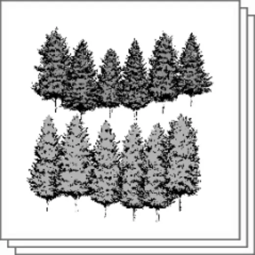 Distant view cedar wood brush — Clip Studio Paint brush