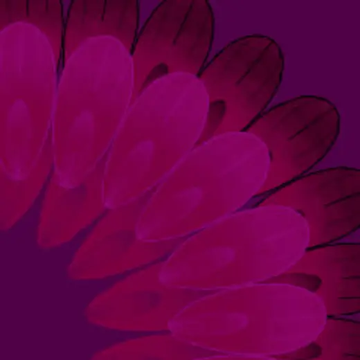 Mysterious petals — Clip Studio Paint brush