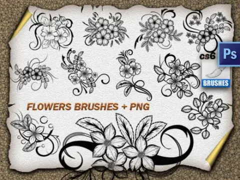 11 Flower Ornaments Brushes — Procreate, Photoshop & Krita brush