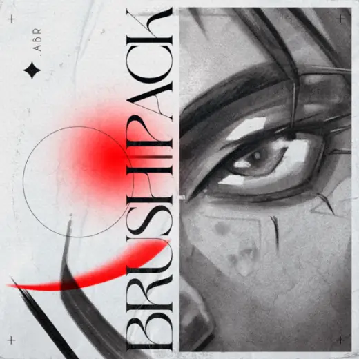 ✦ My Photoshop Brushpack +500 brushes organized and categorized — Photoshop brush