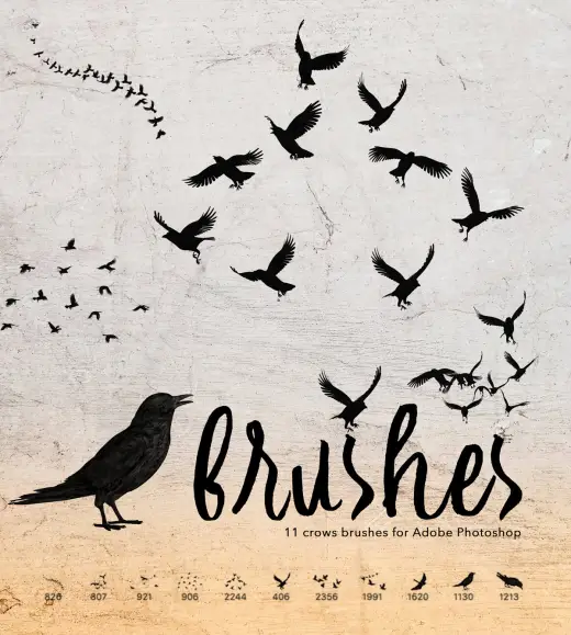 11 Crows Brushes — Procreate, Photoshop & Krita brush