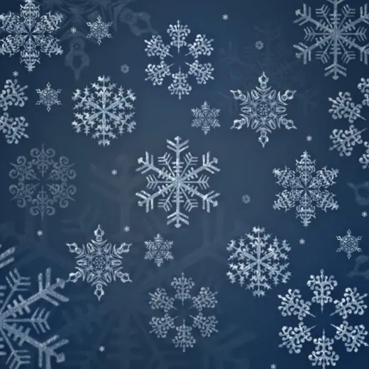 12 Snowflakes Brushes — Procreate, Photoshop & Krita brush