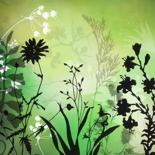 23 Free Plant Brushes — Procreate, Photoshop & Krita brush