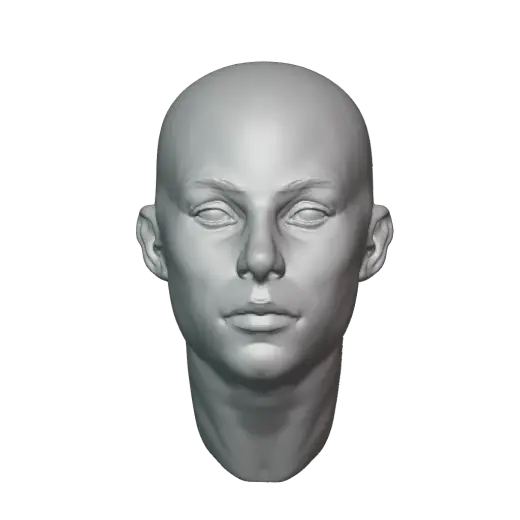Free Female Face Model Stamp Brushes — Krita brush