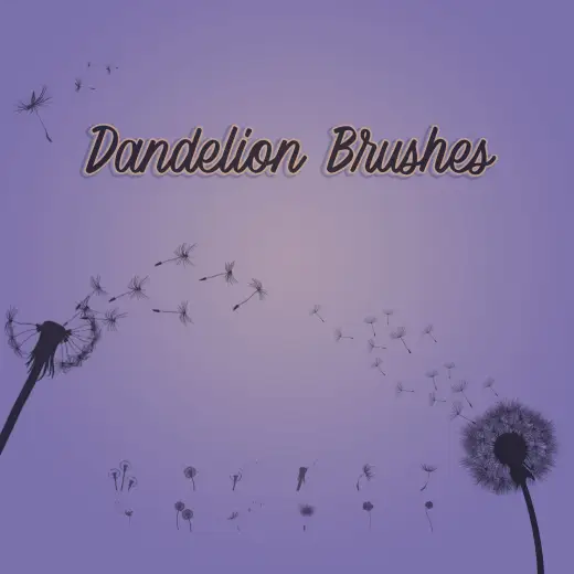 Dandelion Free Photoshop Brushes — Procreate, Photoshop & Krita brush