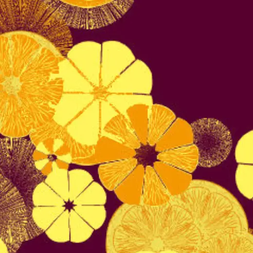 〇！ Tangerines — Clip Studio Paint brush