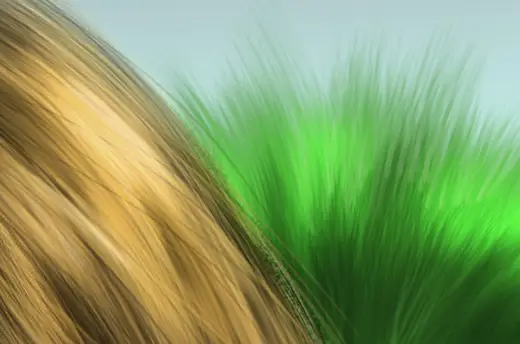Hair and Fur Brush - Photoshop CC — Photoshop brush
