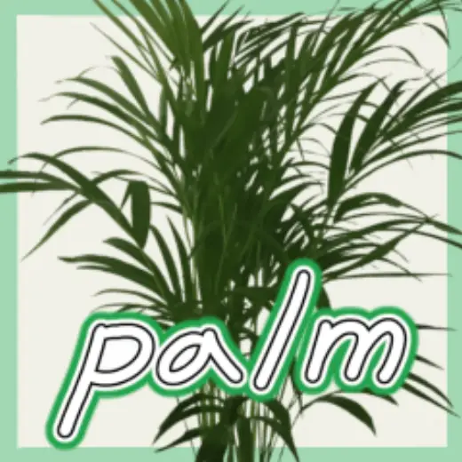 Palm_rojo — Clip Studio Paint brush
