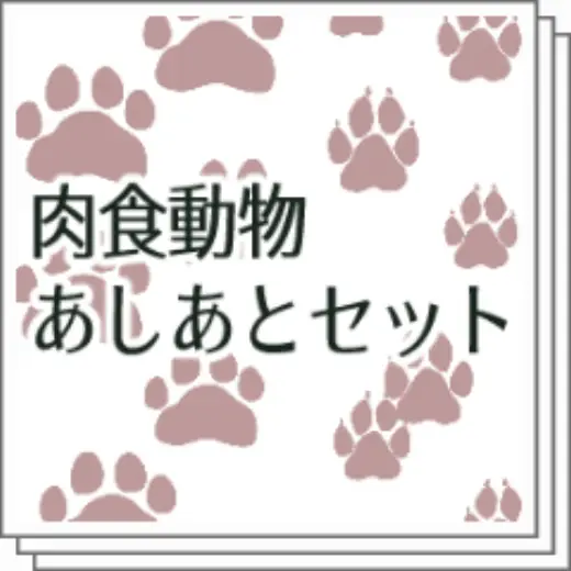 Carnivore Ashigo Set — Clip Studio Paint brush