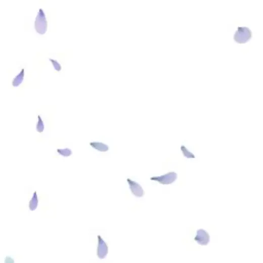 Basic petals brush — Clip Studio Paint brush