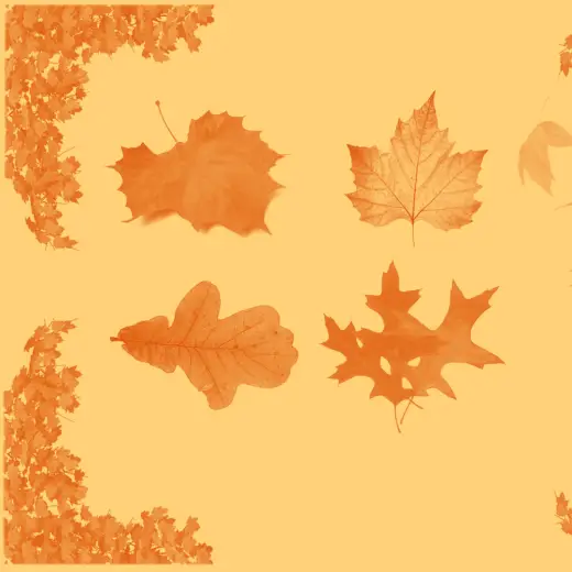 Autumn Leaf Brushset — Procreate, Photoshop & Krita brush