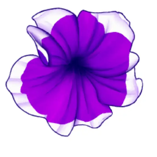 Petunia Brush — Clip Studio Paint brush