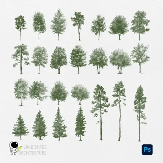 Watercolor Photoshop Tree Brushes — Photoshop brush