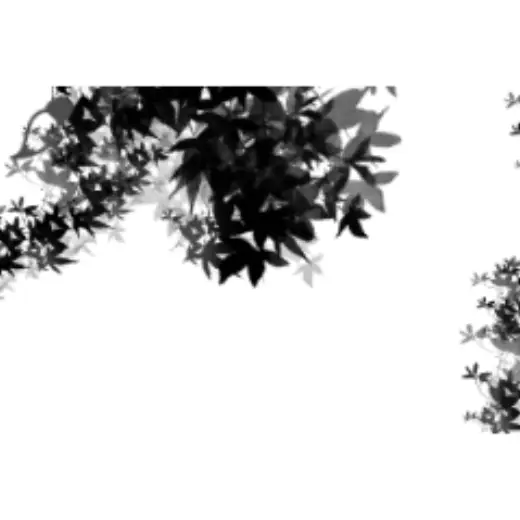 Maple Leaf Chinese Restaurant — Clip Studio Paint brush