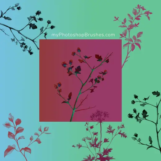 7 Free Watercolor Plant Twigs Photoshop Brushes — Procreate, Photoshop & Krita brush