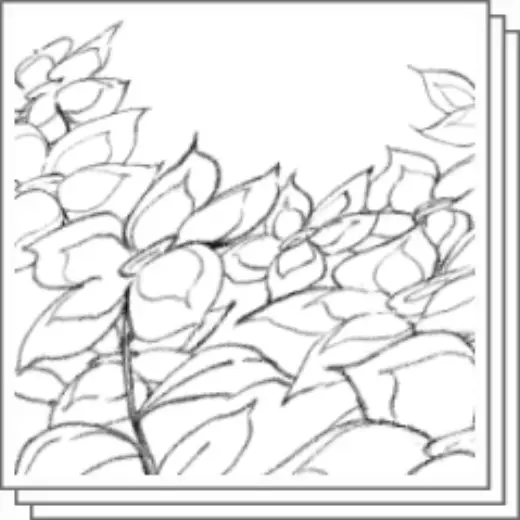 Five-petaled flower brush set — Clip Studio Paint brush